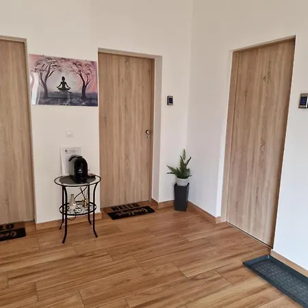 Apartment Altair Airport